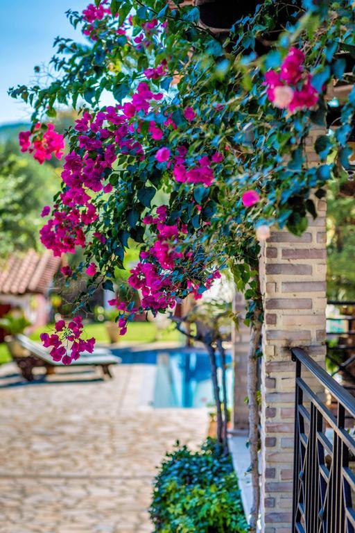Villa Elea Lithakia  Bagian luar foto